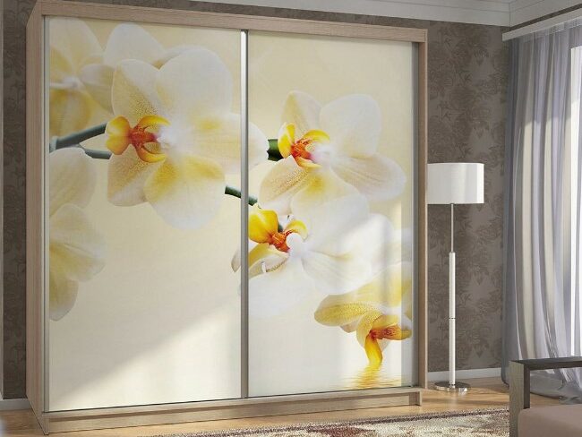 Шкаф купе в Калининграде